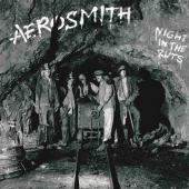 Album art Night In The Ruts by Aerosmith