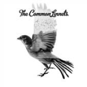 Album art Common Linnets by Common Linnets