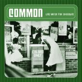 Album art Like Water For Chocolate by Common