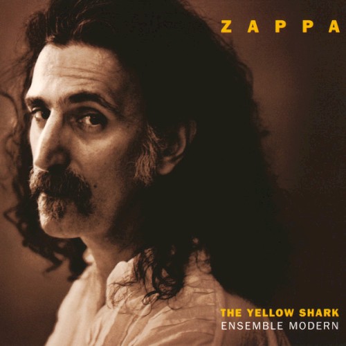 Yellow Shark