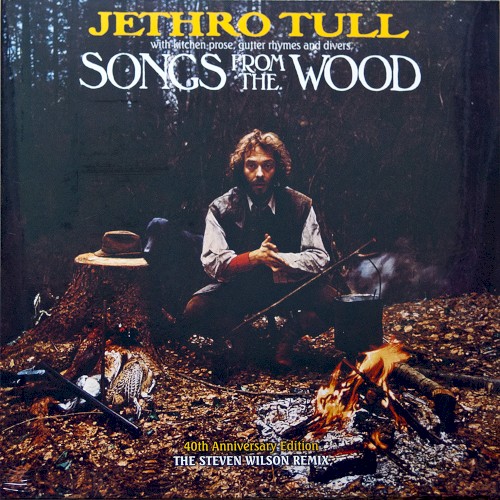 Songs From The Wood