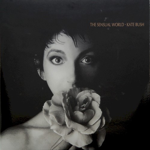 The Sensual World