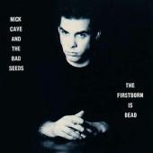 Album art The First Born Is Dead by Nick Cave