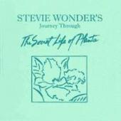 Album art Journey Through The Secret Life Of Plants by Stevie Wonder