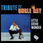 Album art Tribute To Uncle Ray by Stevie Wonder