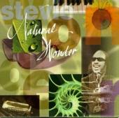 Album art Natural Wonder by Stevie Wonder
