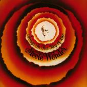 Album art Songs In The Key Of Life by Stevie Wonder